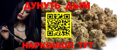 гидра Гусев