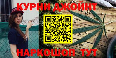 гидра Гусев