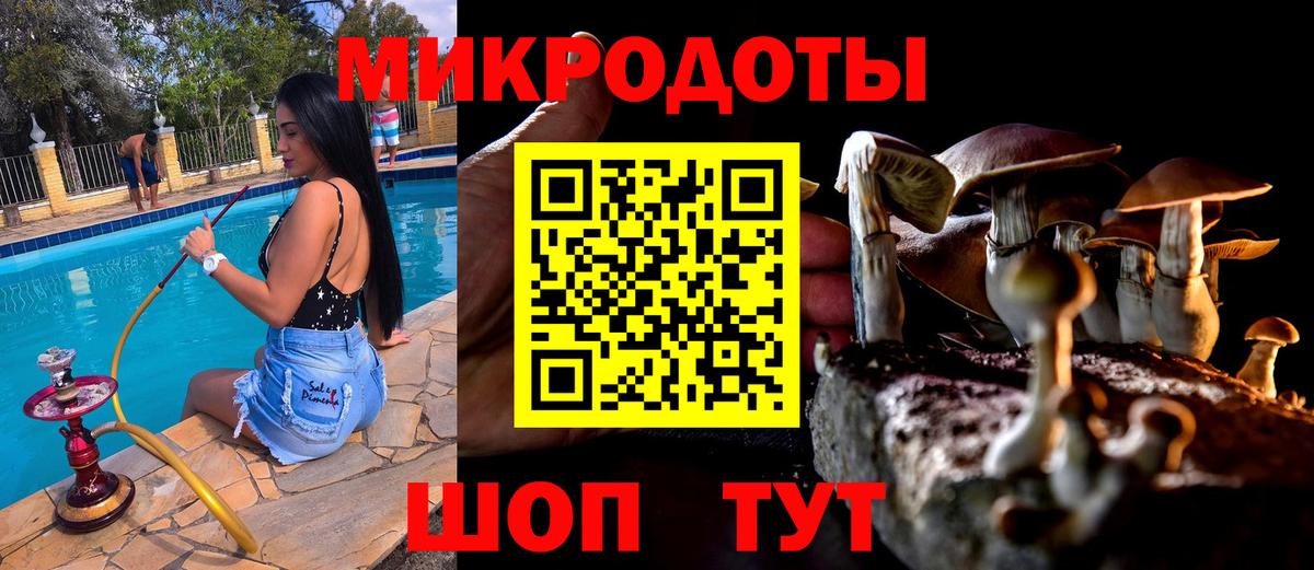 Псилоцибиновые грибы MAGIC MUSHROOMS  Псилоцибиновые грибы ЛСД  Новоуральск  Вход с VPN 